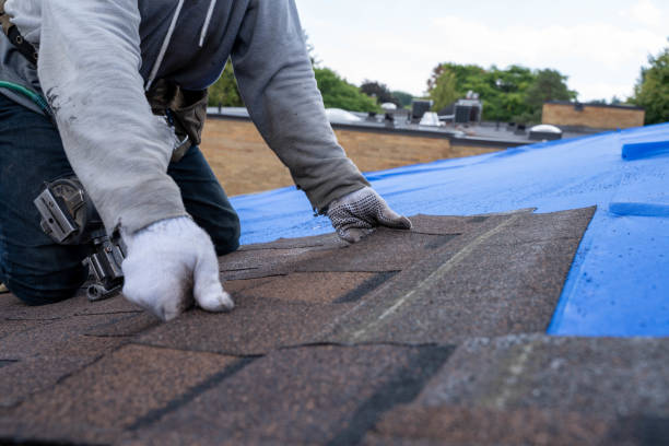 Best Emergency Roof Repair  in Morgantown, KY