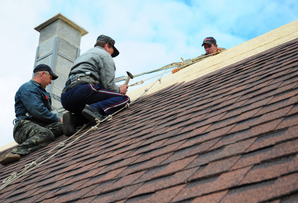 Best Flat Roof Repair Services  in Morgantown, KY