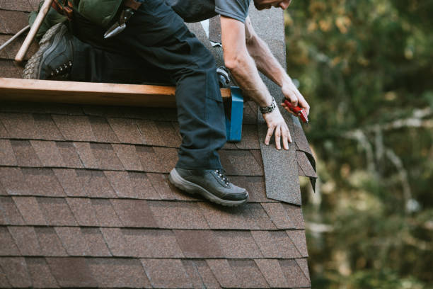Best Roof Leak Repair  in Morgantown, KY